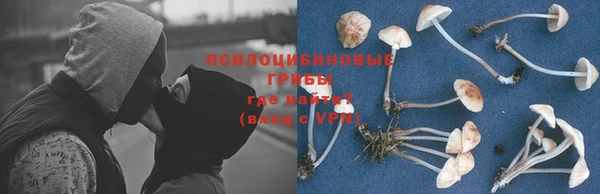 гидропоника Вязьма