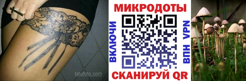 дарк нет телеграм  купить   Новошахтинск  Галлюциногенные грибы Cubensis 