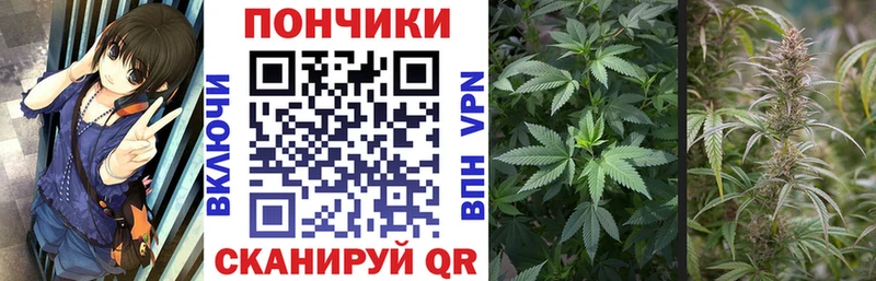 Бошки марихуана VHQ  Новошахтинск 